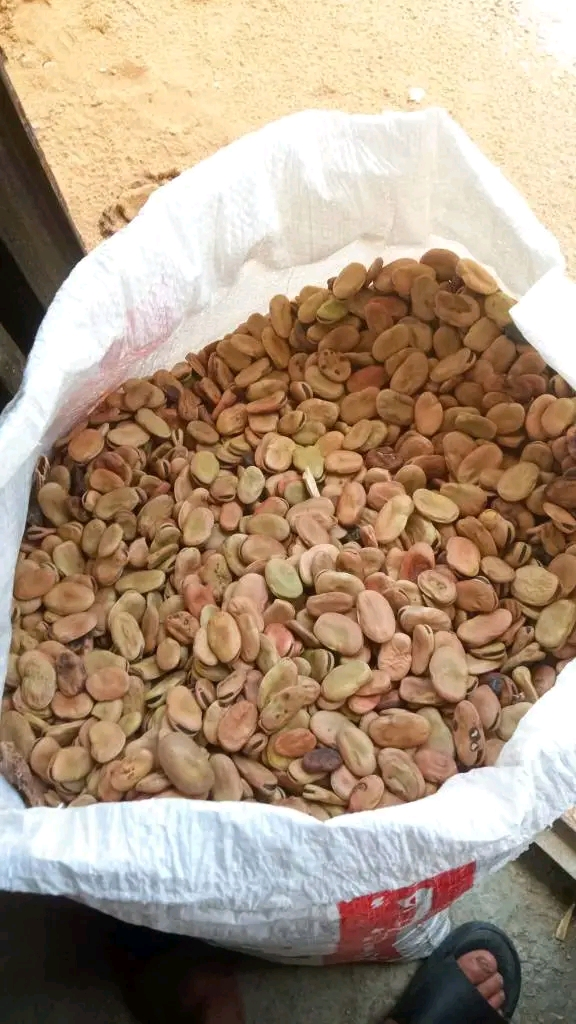 فول