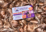 بصيلات زعفران