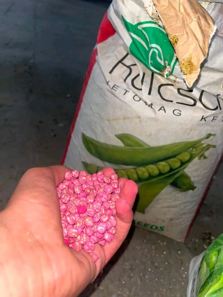 بذور الجلبان