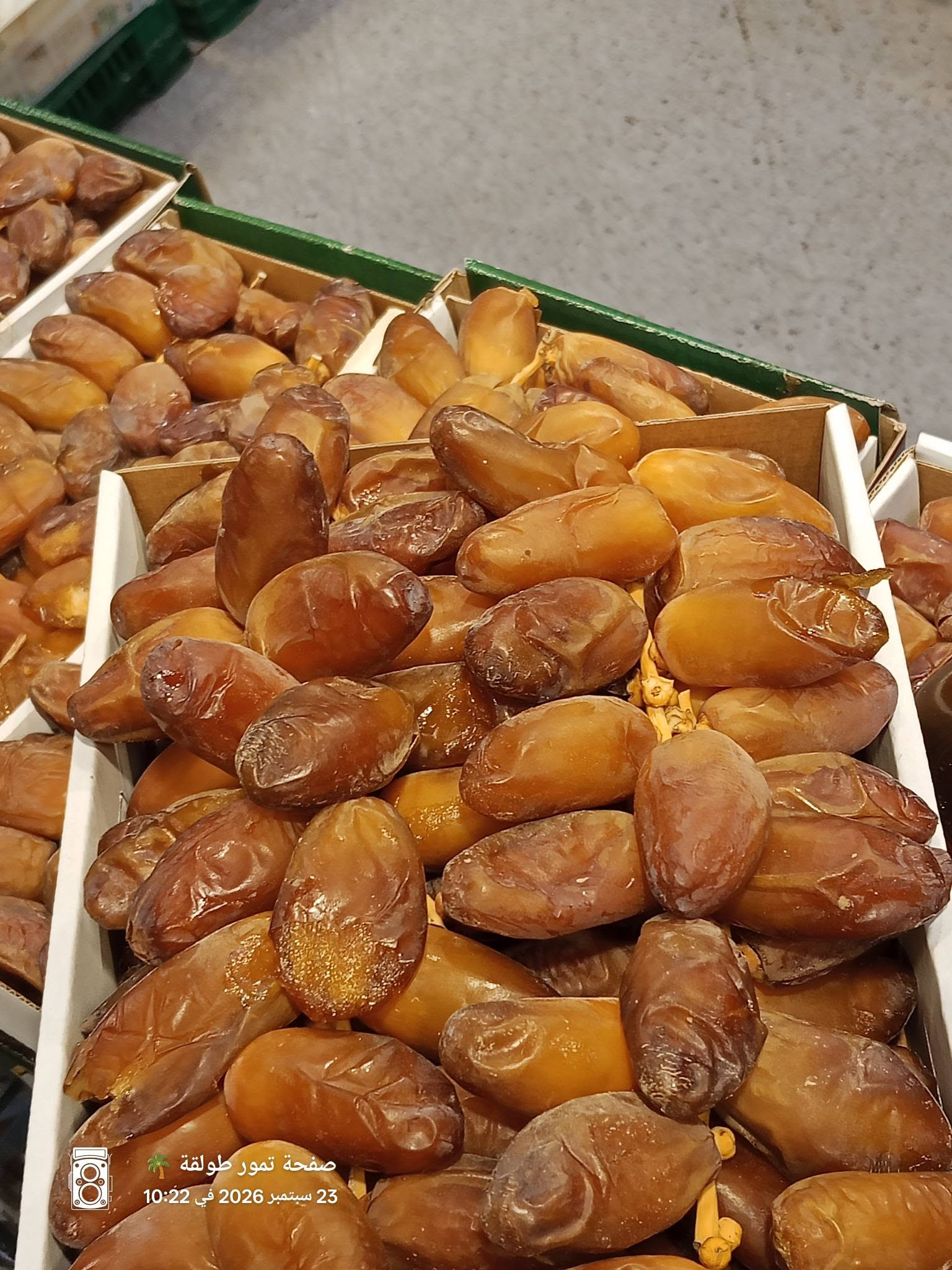 تمر