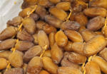 تمر