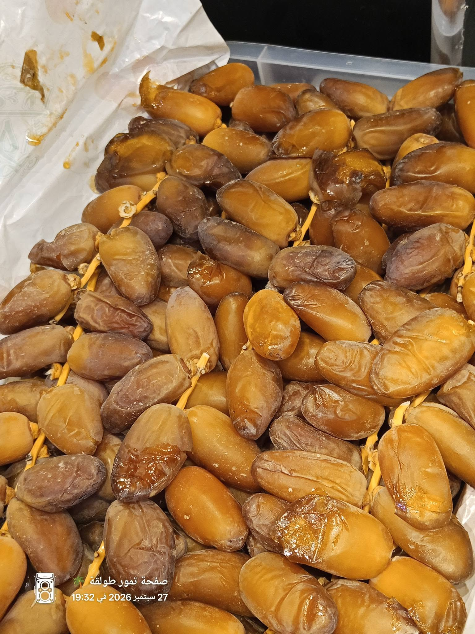 تمر