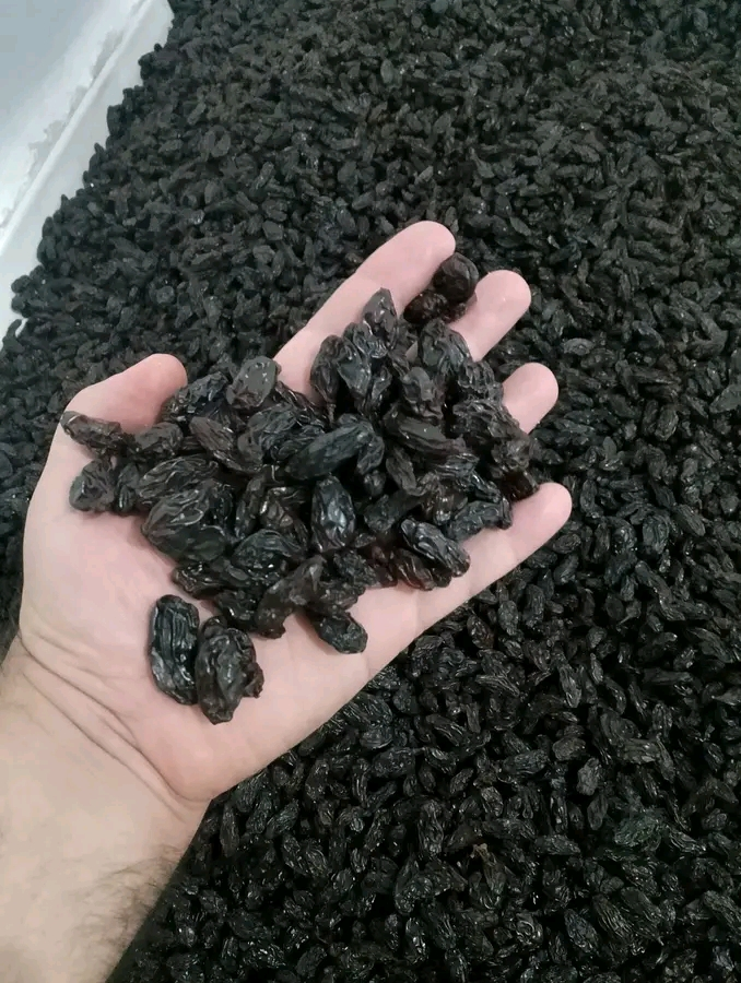 زبيب موسكة
