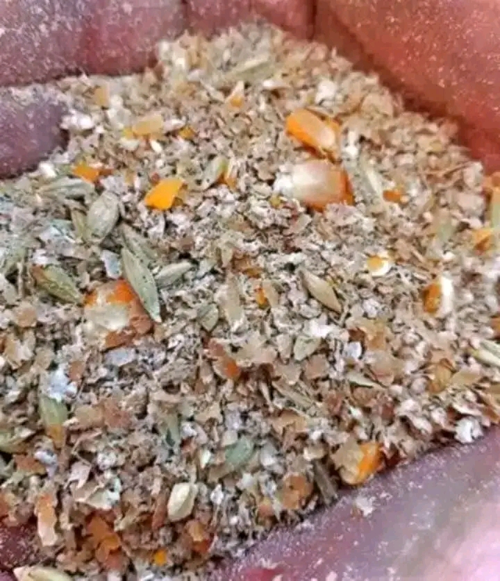 نخالة